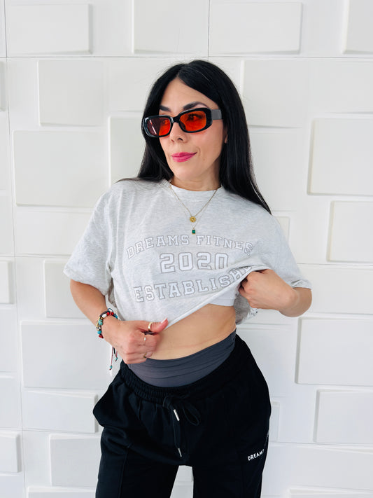 Gray Graphic Crop Tee